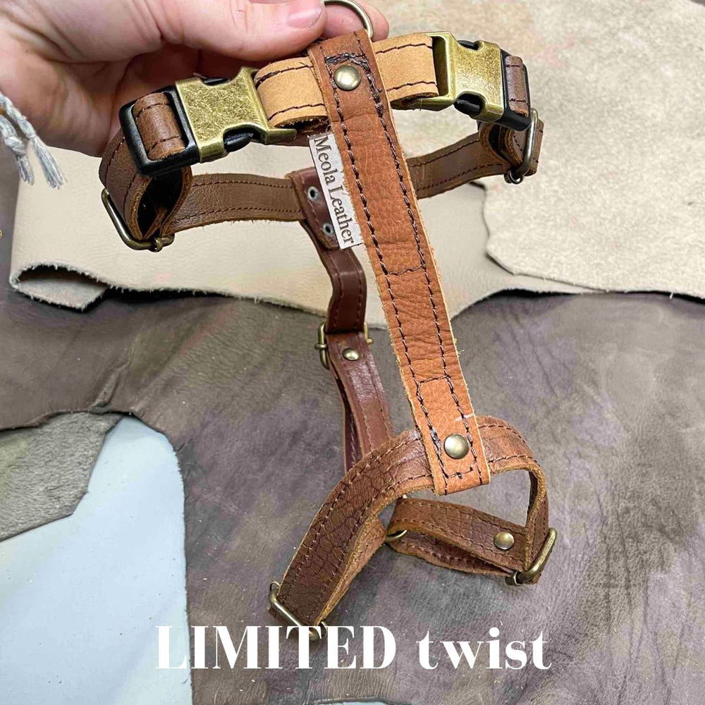 
                      
                        Limited collectie kleuren L tuigjes
                      
                    