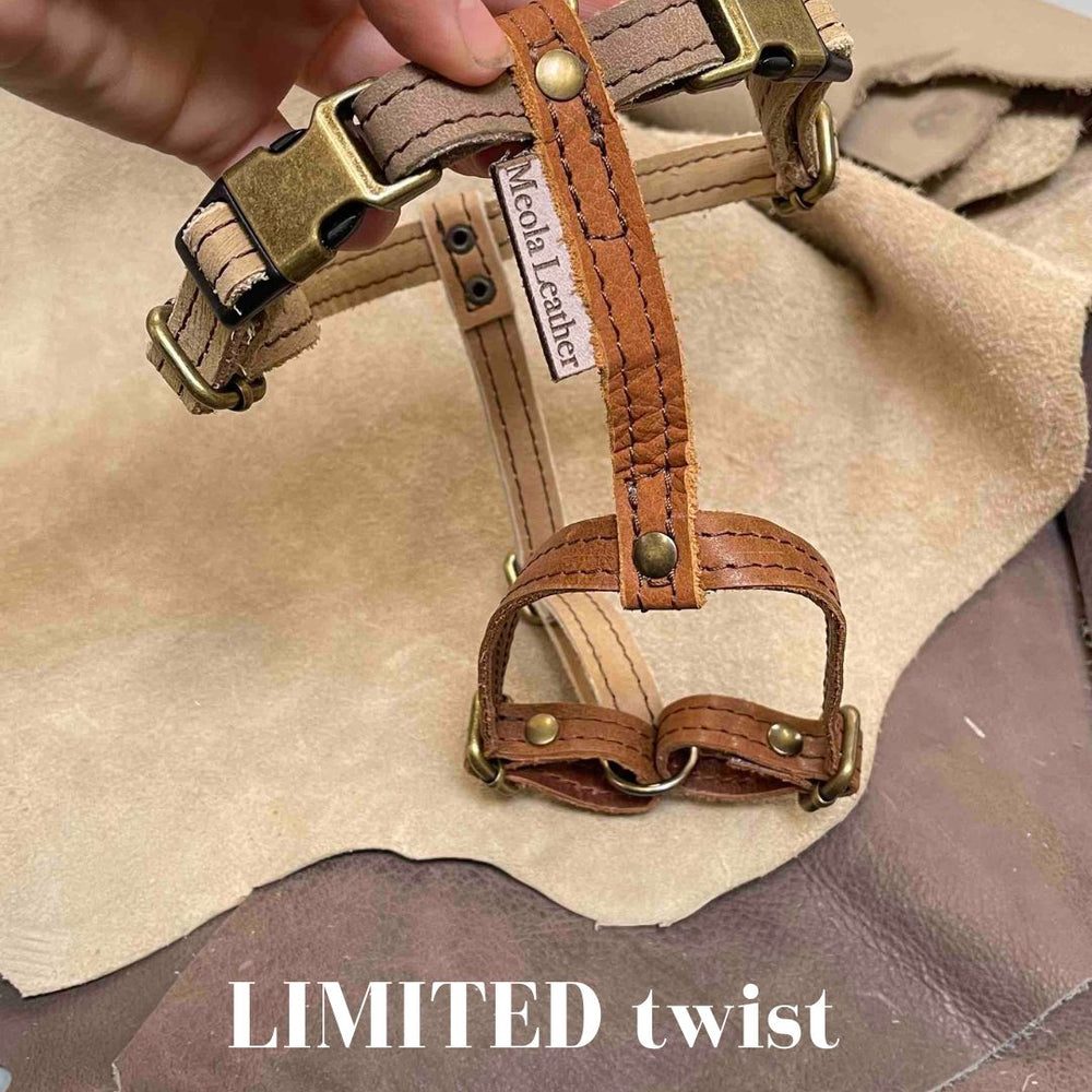 
                      
                        Limited collectie kleuren M tuigjes
                      
                    