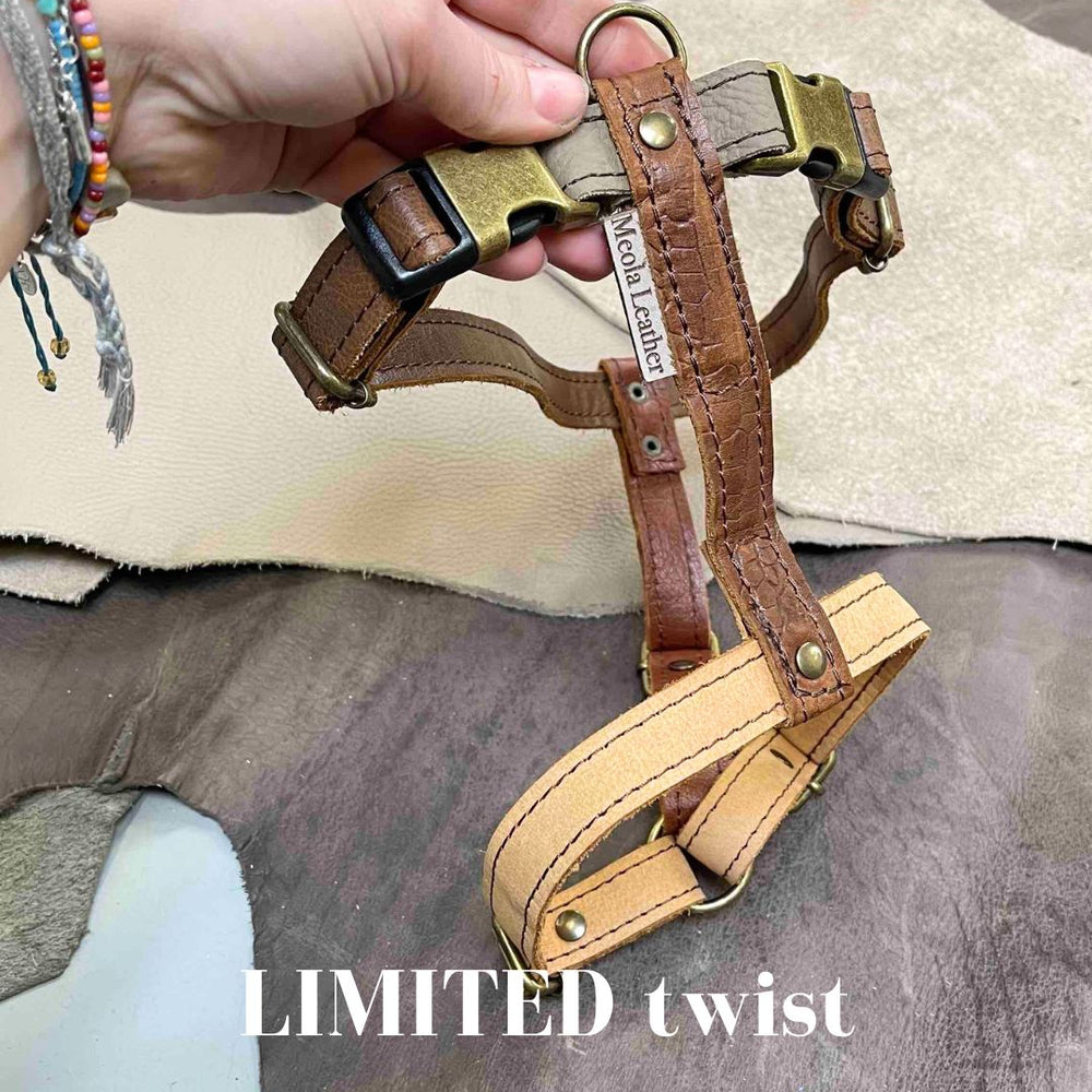 
                      
                        Limited collectie kleuren L tuigjes
                      
                    