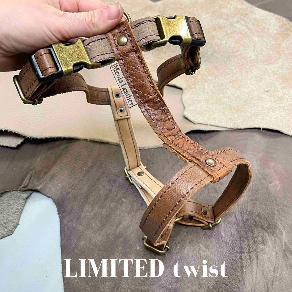 
                      
                        Limited collectie kleuren L tuigjes
                      
                    