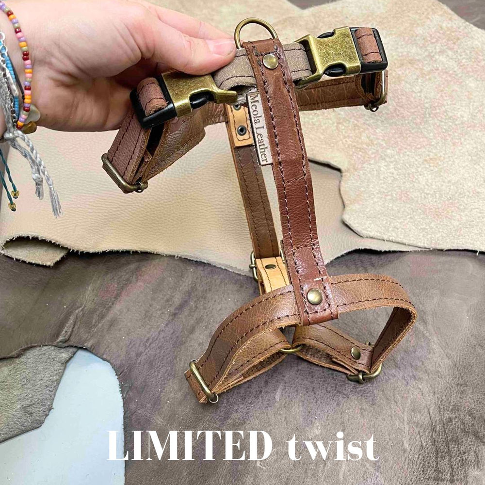 
                      
                        Limited collectie kleuren L tuigjes
                      
                    