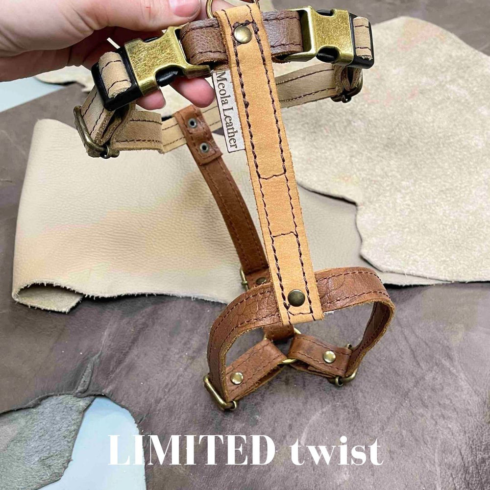 
                      
                        Limited collectie kleuren L tuigjes
                      
                    