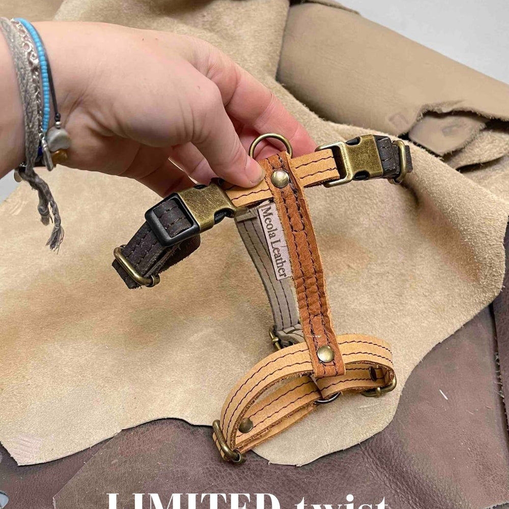 
                      
                        Limited collectie kleuren M tuigjes
                      
                    