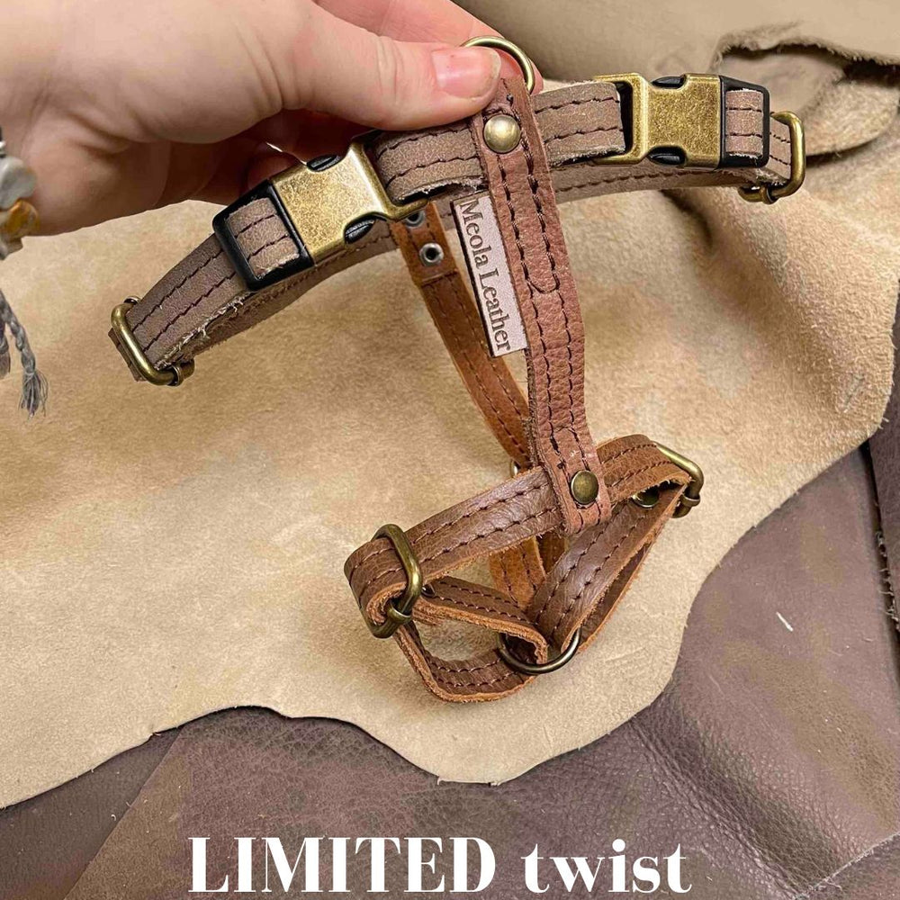 
                      
                        Limited collectie kleuren M tuigjes
                      
                    