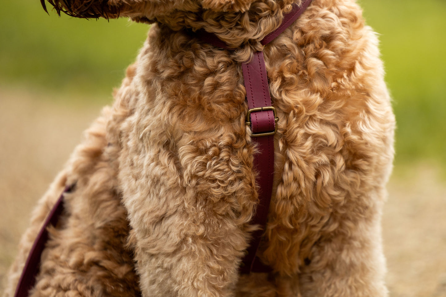  dogstumer handgemaakt leren tuig met naam wijnrood