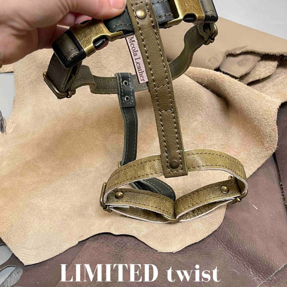 
                      
                        Limited collectie kleuren L tuigjes
                      
                    