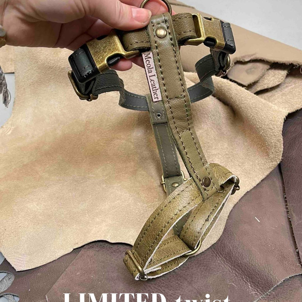 
                      
                        Limited collectie kleuren L tuigjes
                      
                    