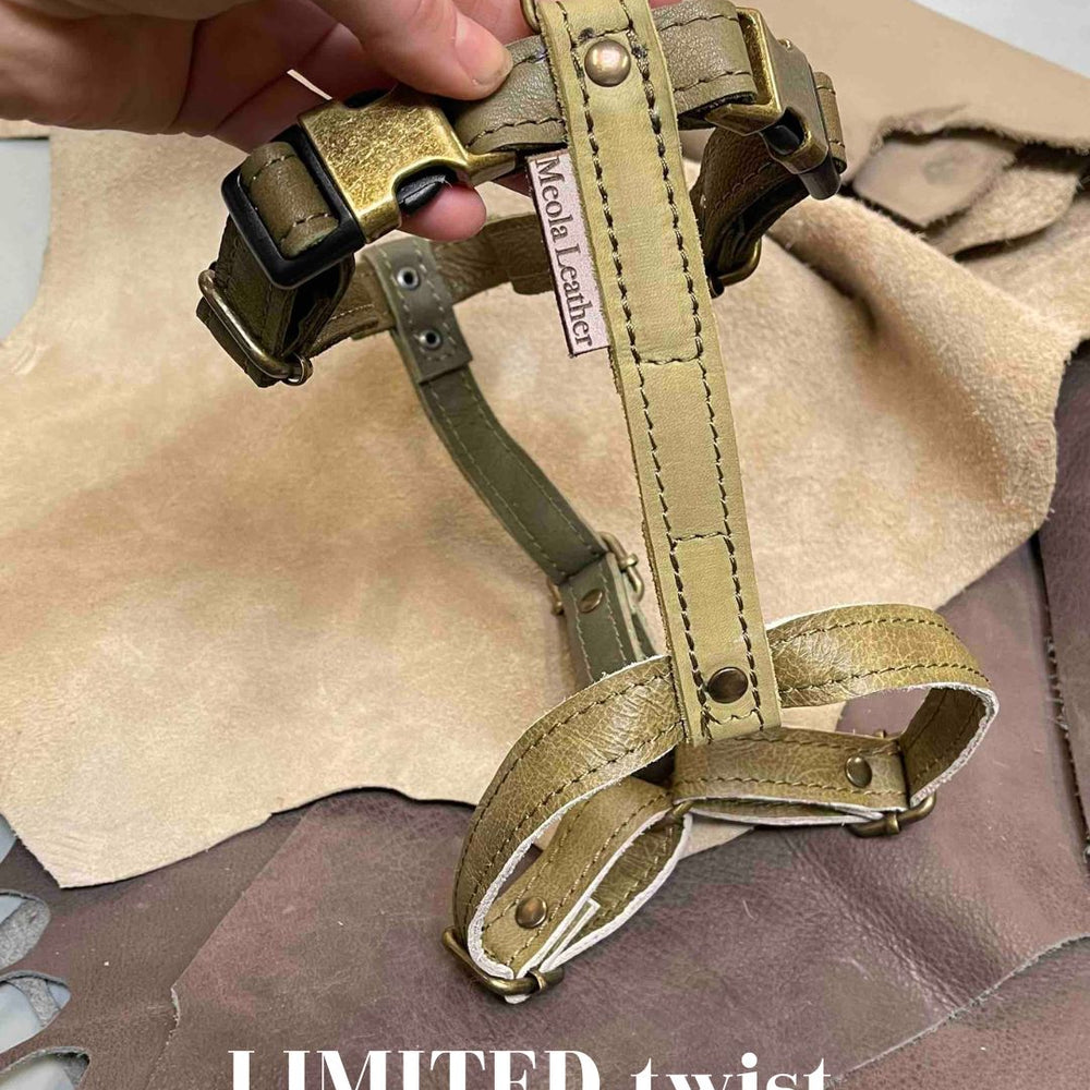 
                      
                        Limited collectie kleuren L tuigjes
                      
                    