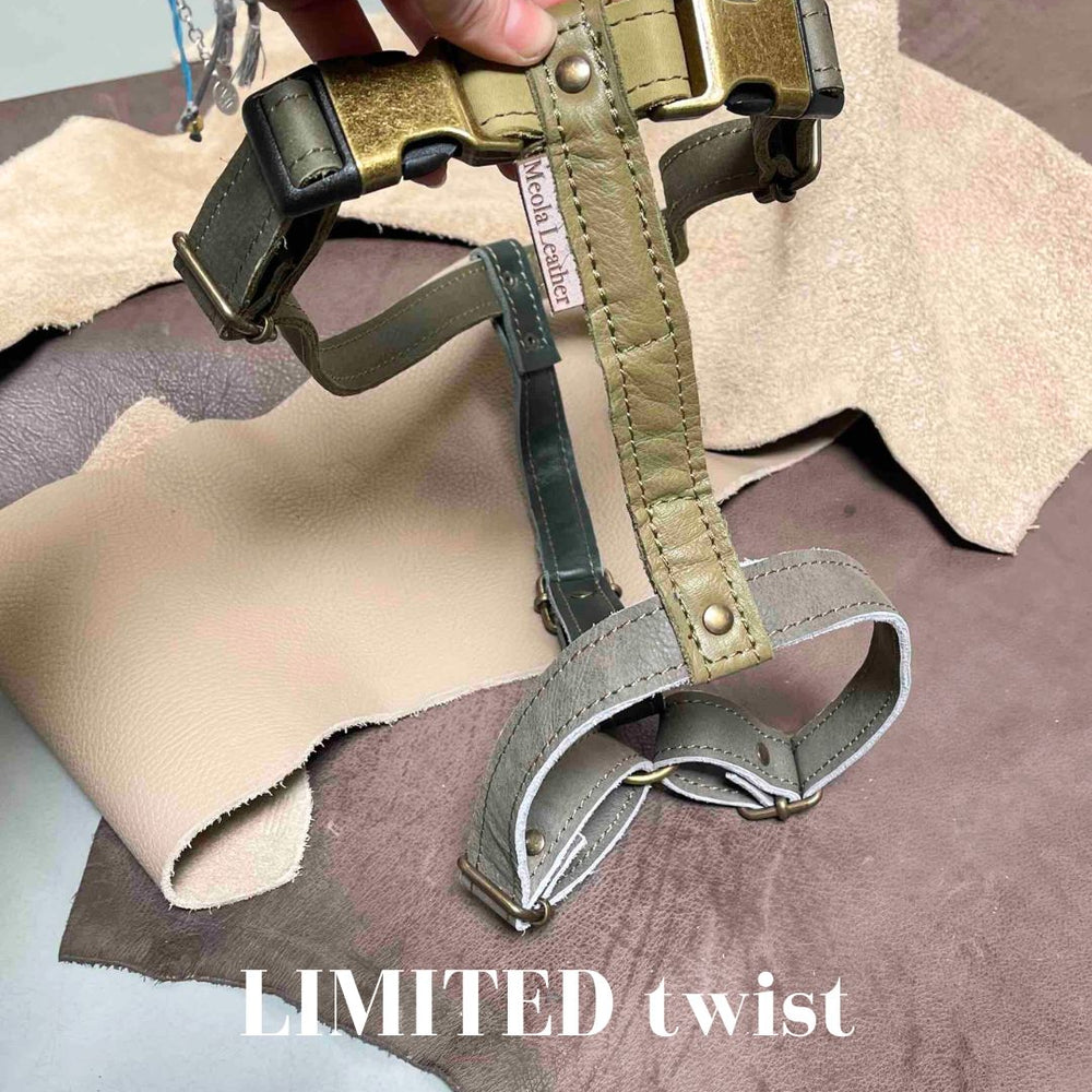 
                      
                        Limited collectie kleuren XL tuigjes
                      
                    