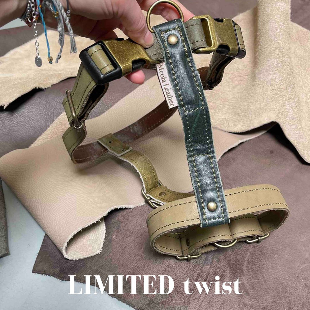 
                      
                        Limited collectie kleuren XL tuigjes
                      
                    