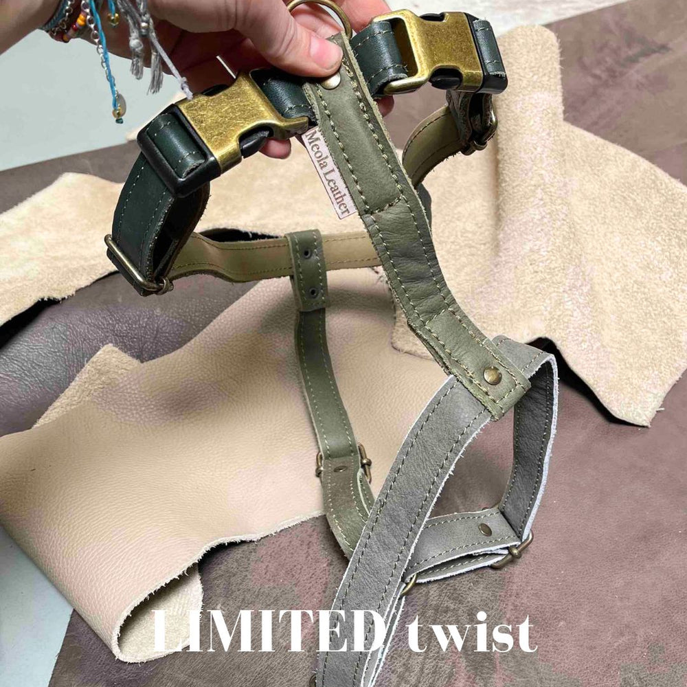 
                      
                        Limited collectie kleuren XL tuigjes
                      
                    