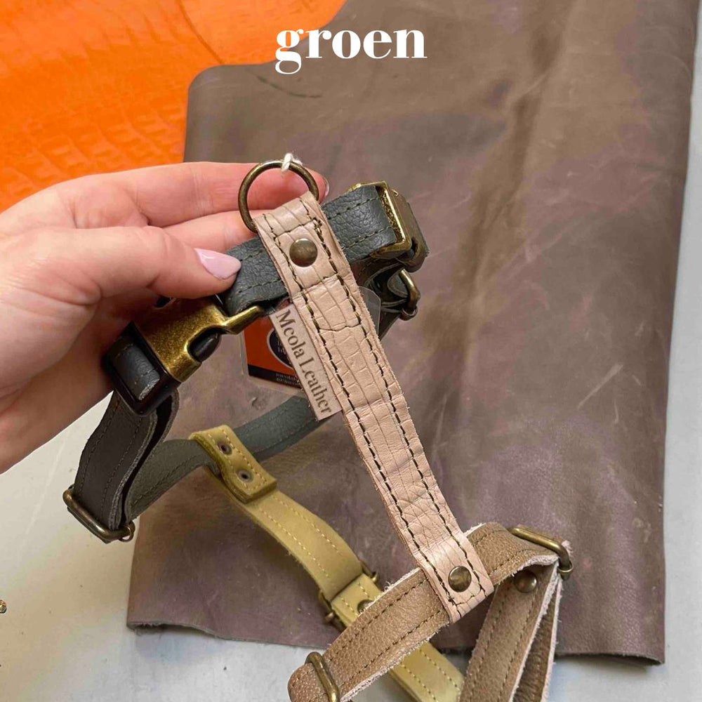 
                      
                        handgemaakt leren y tuig hond perfect passend tuig doodle teckel gepersonaliseerd naam XL limited groen
                      
                    