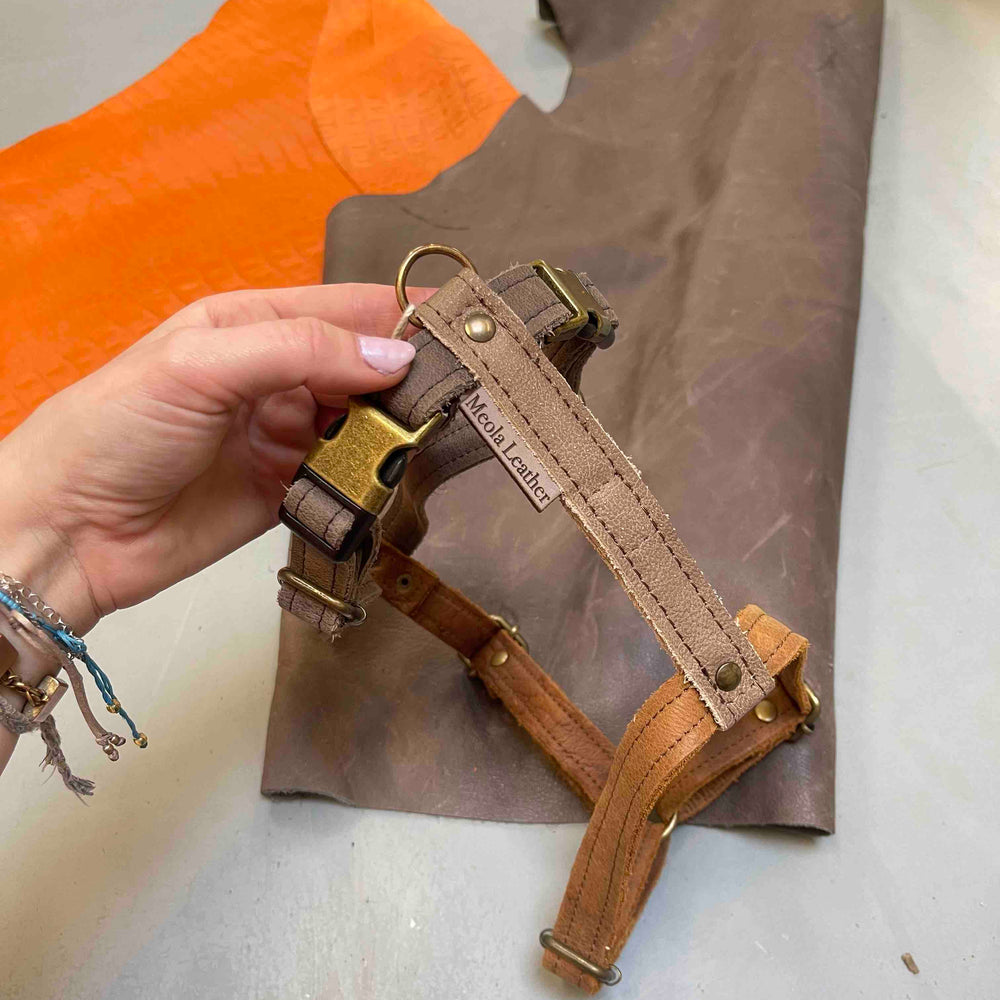 
                      
                        hondentuig-harnass-leren-tuig-y-model-handgemaakt-alblasserdam-meola-leather-dogs-limited-bruin
                      
                    