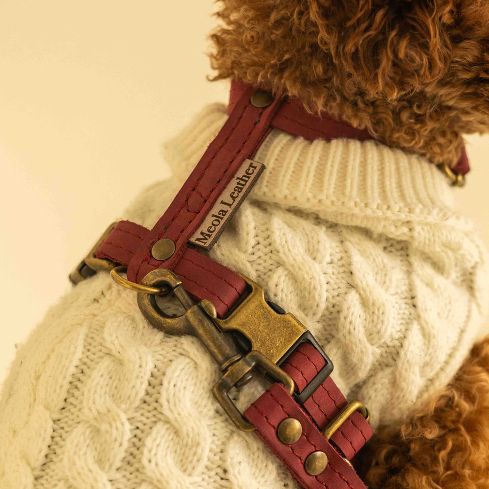 
                      
                        leren-hondentuig-ytuigje-standaard-collectie-beste-hondentuig-soepel-leer-geen-klitten-wijnrood-kleine-maatjes-detail
                      
                    