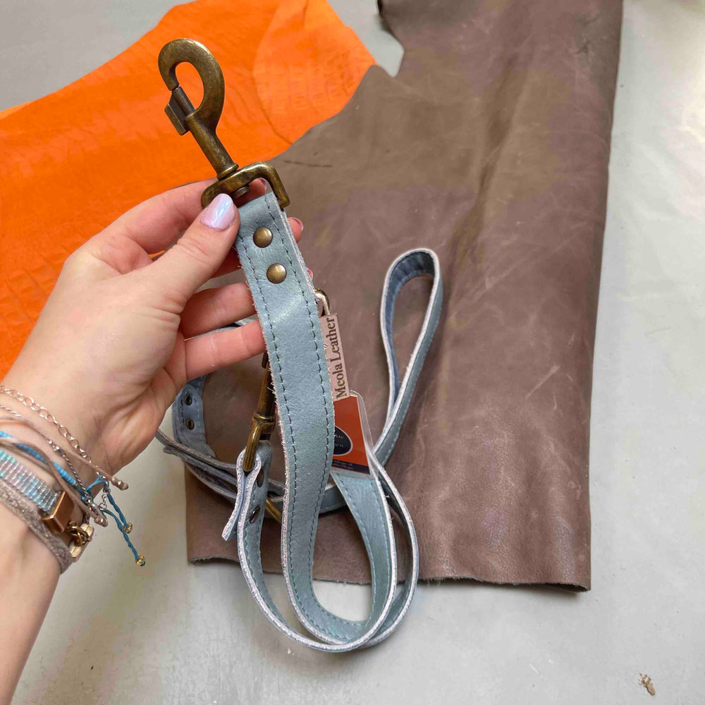 
                      
                        leren-lijn-hondenlijn-verstelbare-limited-edition-breed-blauw
                      
                    