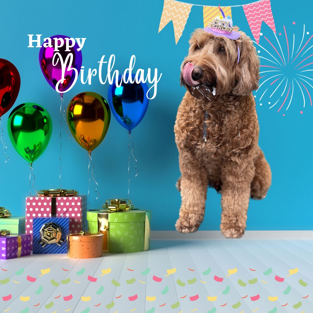 moos happy birthday hond gratis kado op verjaardag hond
