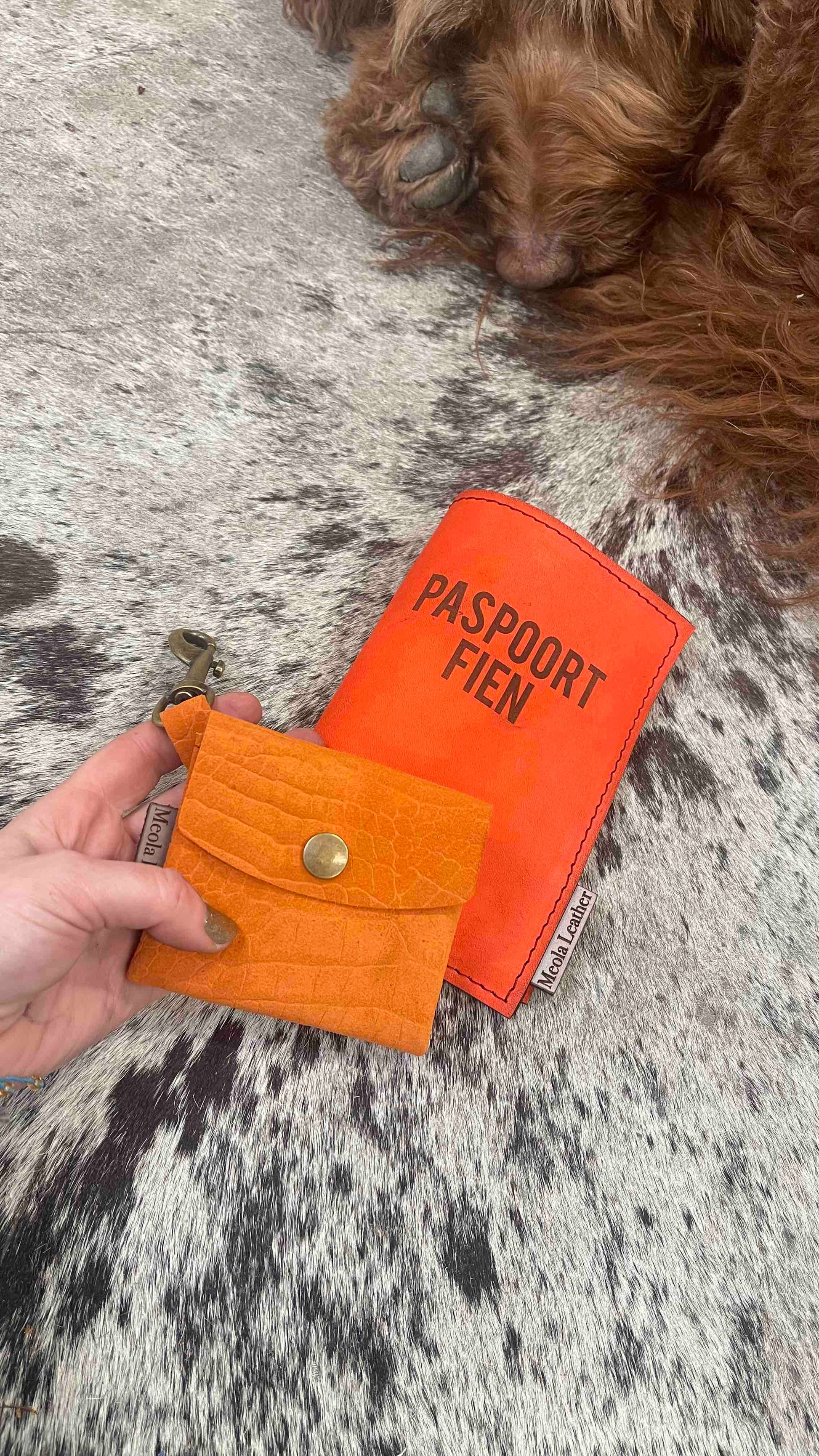 paspoorthoes-hond-met-naam-oranje