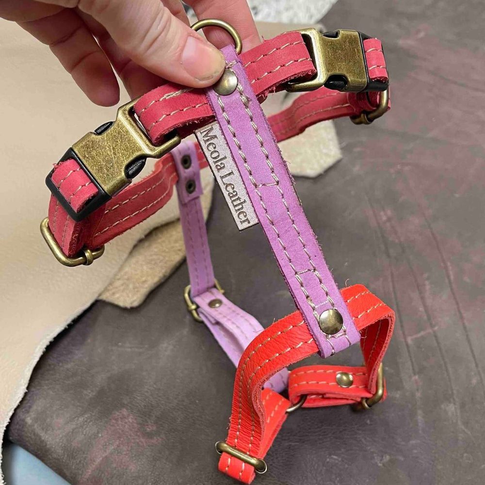 
                      
                        Limited collectie kleuren M tuigjes
                      
                    