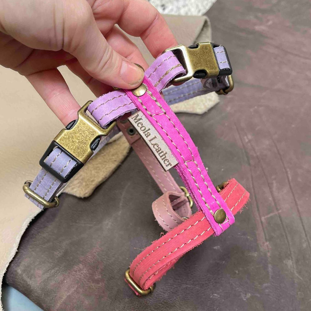 
                      
                        Limited collectie kleuren M tuigjes
                      
                    