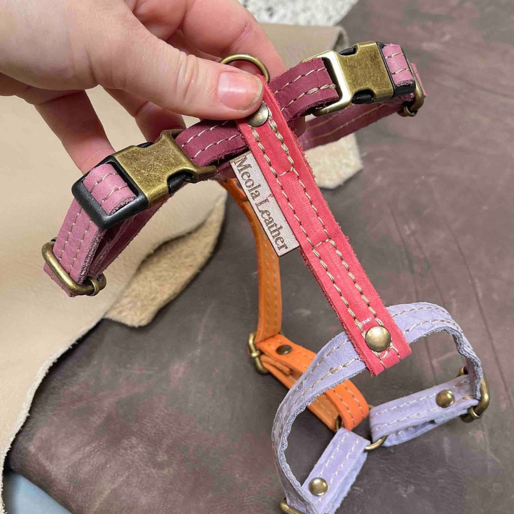 
                      
                        Limited collectie kleuren M tuigjes
                      
                    