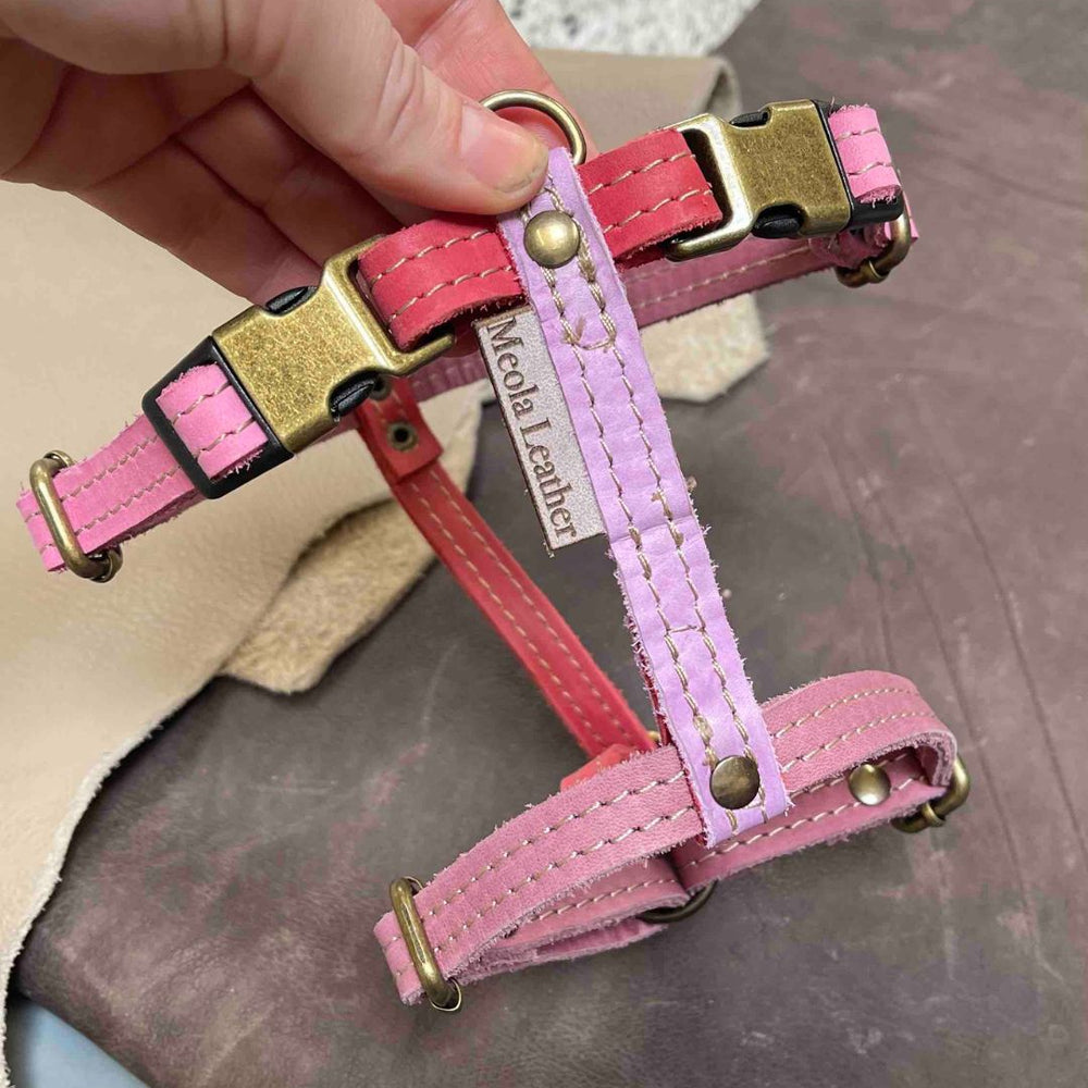 
                      
                        Limited collectie kleuren M tuigjes
                      
                    