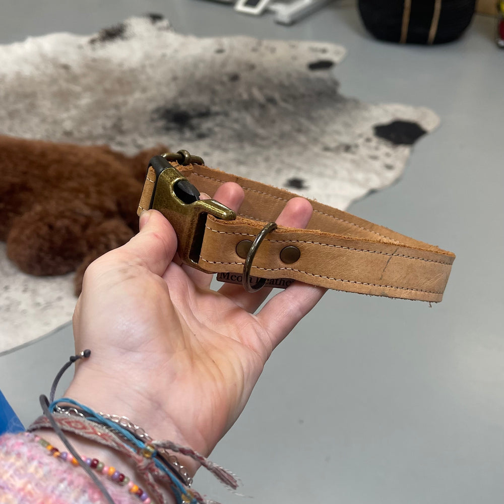 
                      
                        Meola Leather Dogs leather click collars SALE
                      
                    