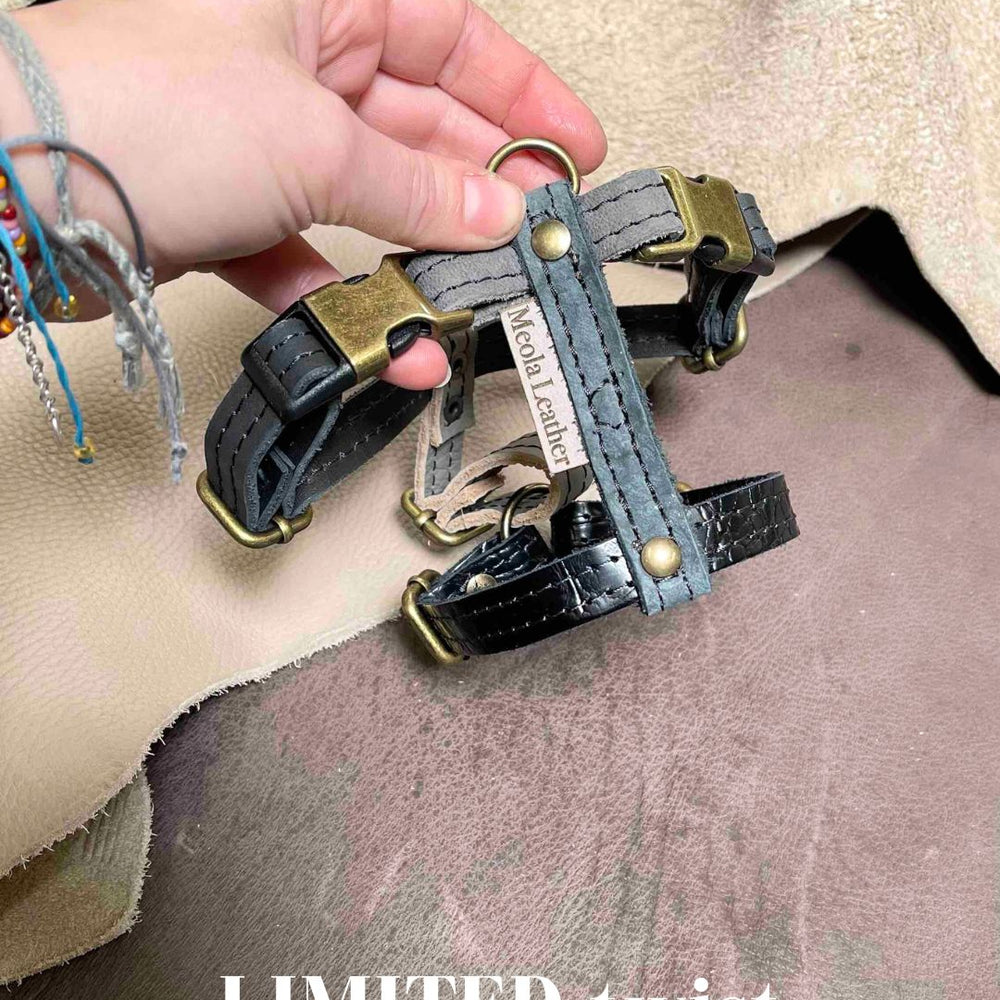 
                      
                        Limited collectie kleuren S tuigjes
                      
                    