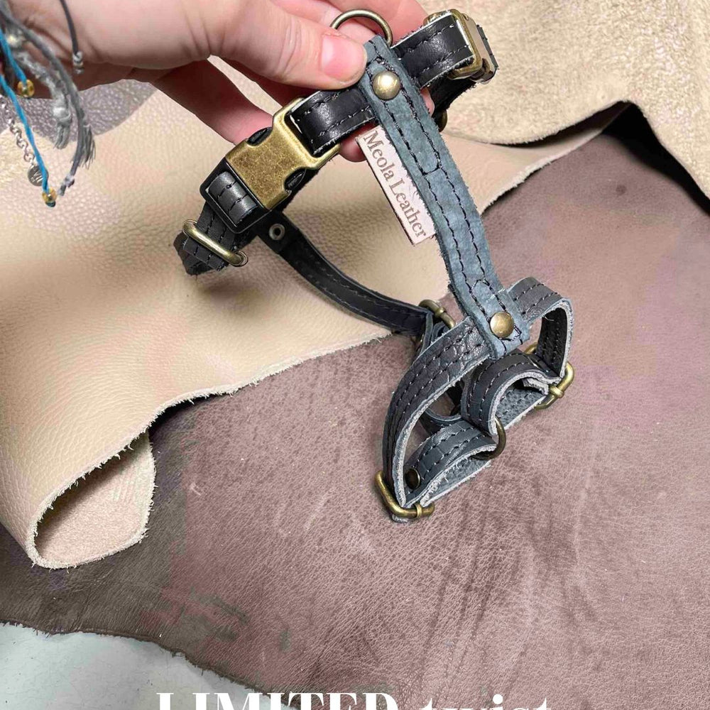 
                      
                        Limited collectie kleuren M tuigjes
                      
                    