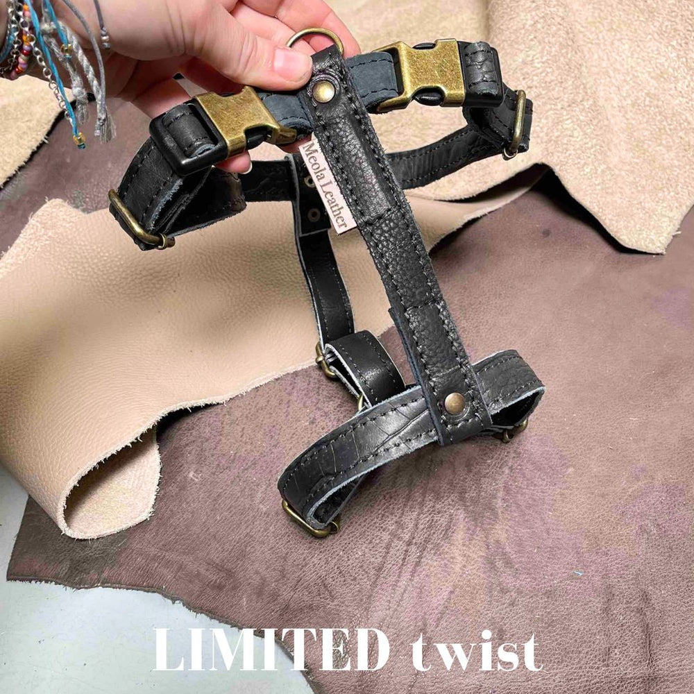 
                      
                        Limited collectie kleuren L tuigjes
                      
                    