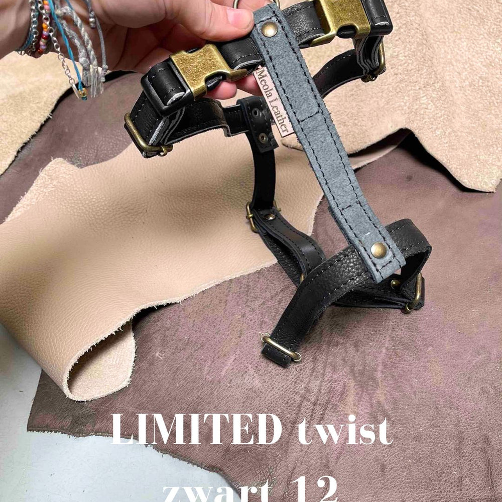 
                      
                        Limited collectie kleuren L tuigjes
                      
                    