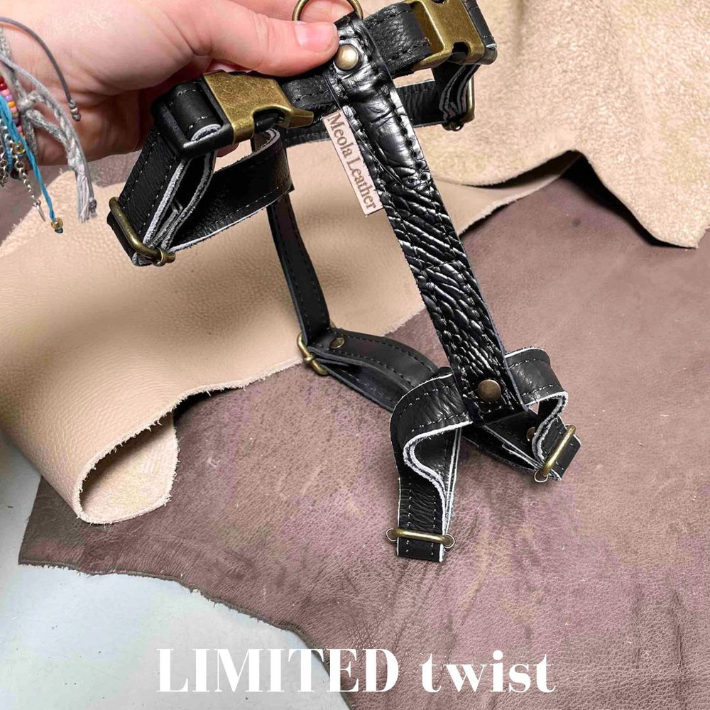 
                      
                        Limited collectie kleuren L tuigjes
                      
                    