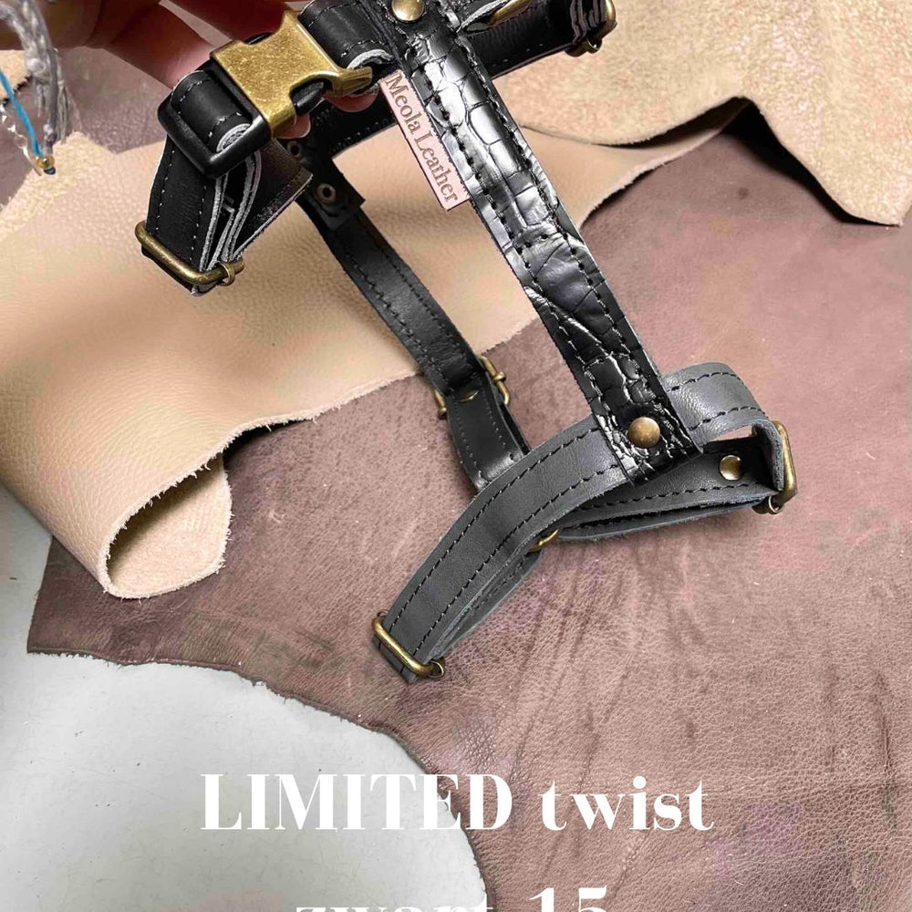 
                      
                        Limited collectie kleuren L tuigjes
                      
                    