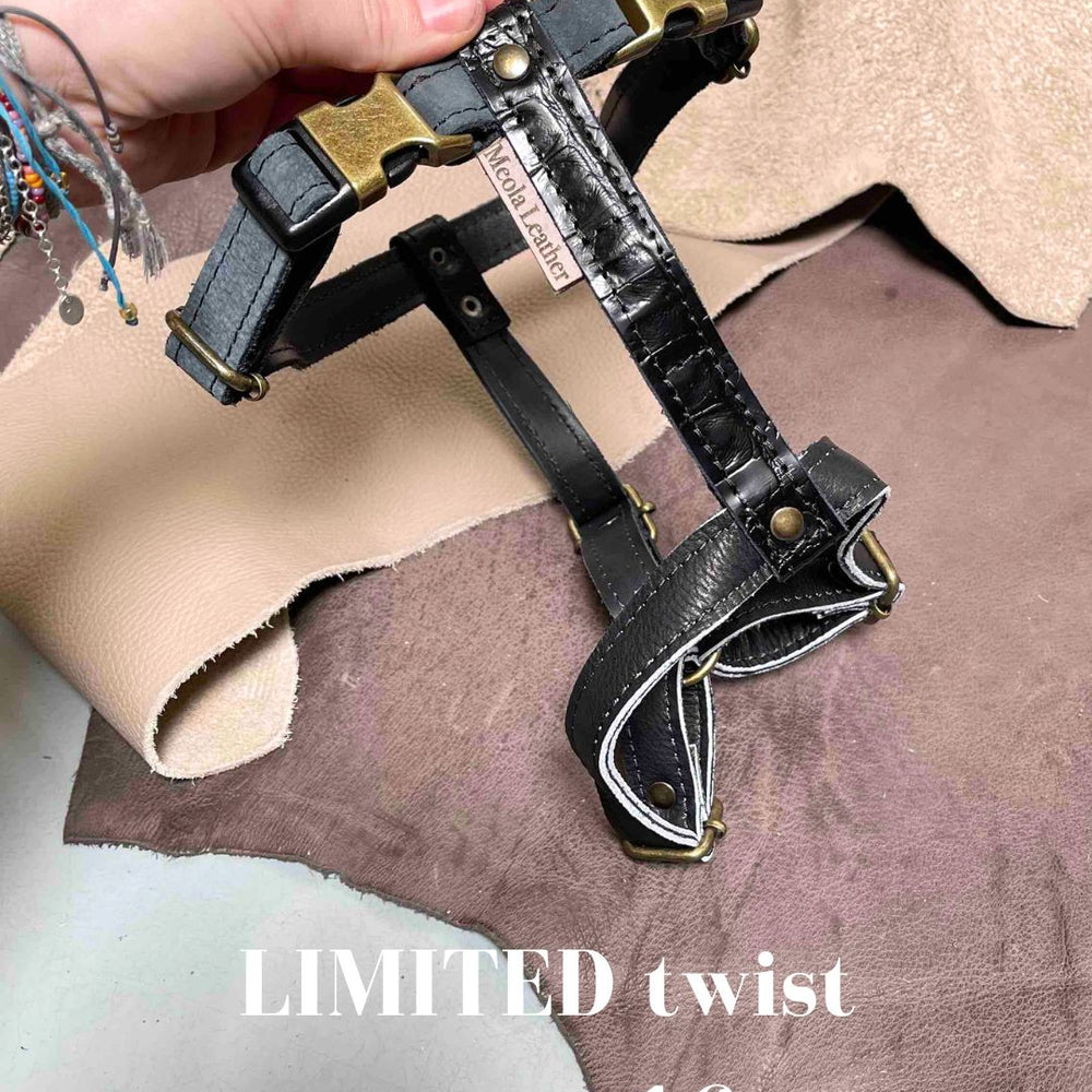 
                      
                        Limited collectie kleuren L tuigjes
                      
                    