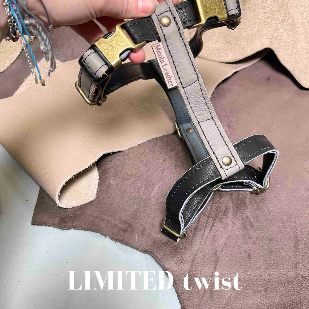 
                      
                        Limited collectie kleuren L tuigjes
                      
                    