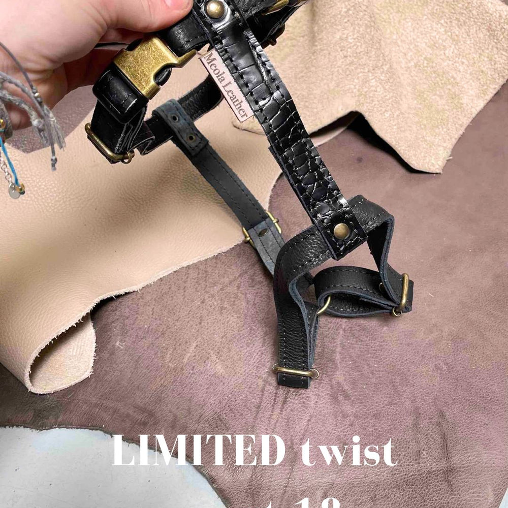 
                      
                        Limited collectie kleuren L tuigjes
                      
                    