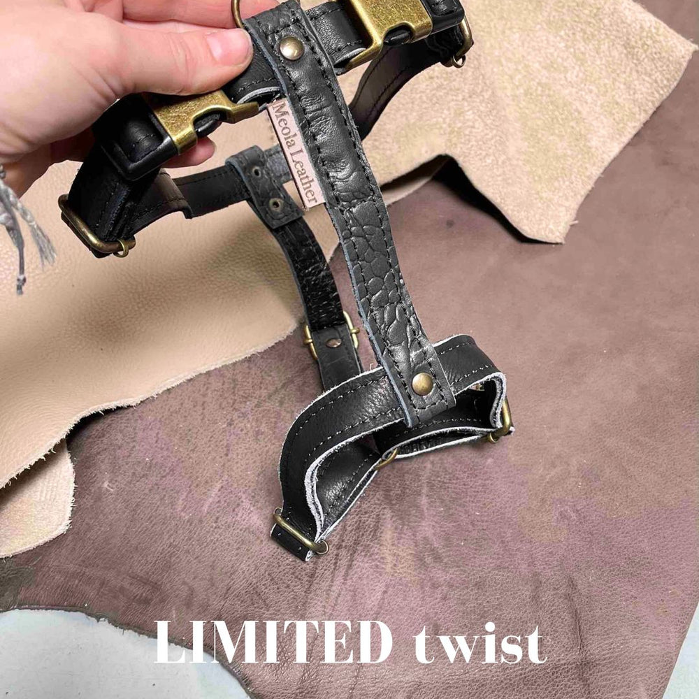 
                      
                        Limited collectie kleuren L tuigjes
                      
                    