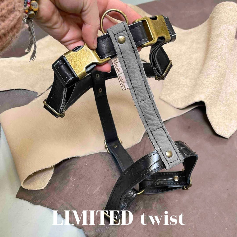 
                      
                        Limited collectie kleuren XL tuigjes
                      
                    