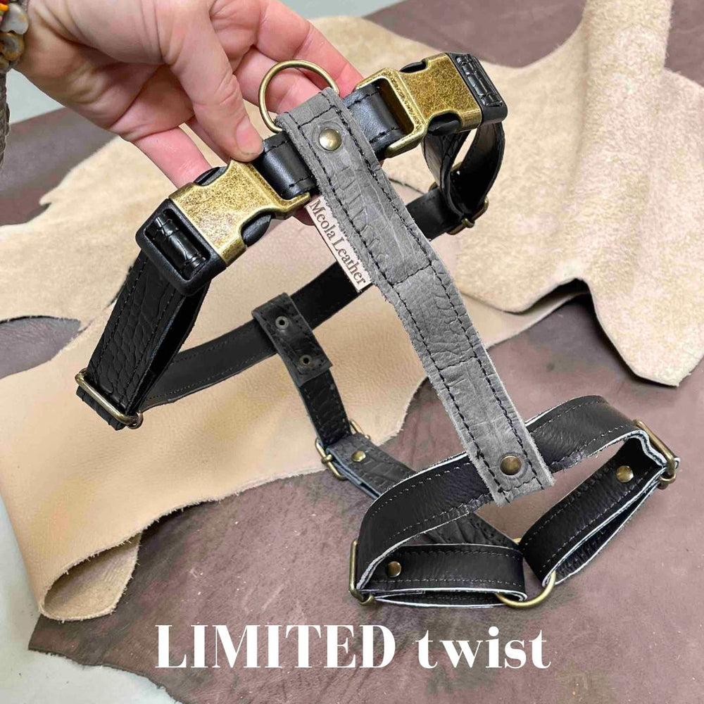 
                      
                        Limited collectie kleuren XL tuigjes
                      
                    