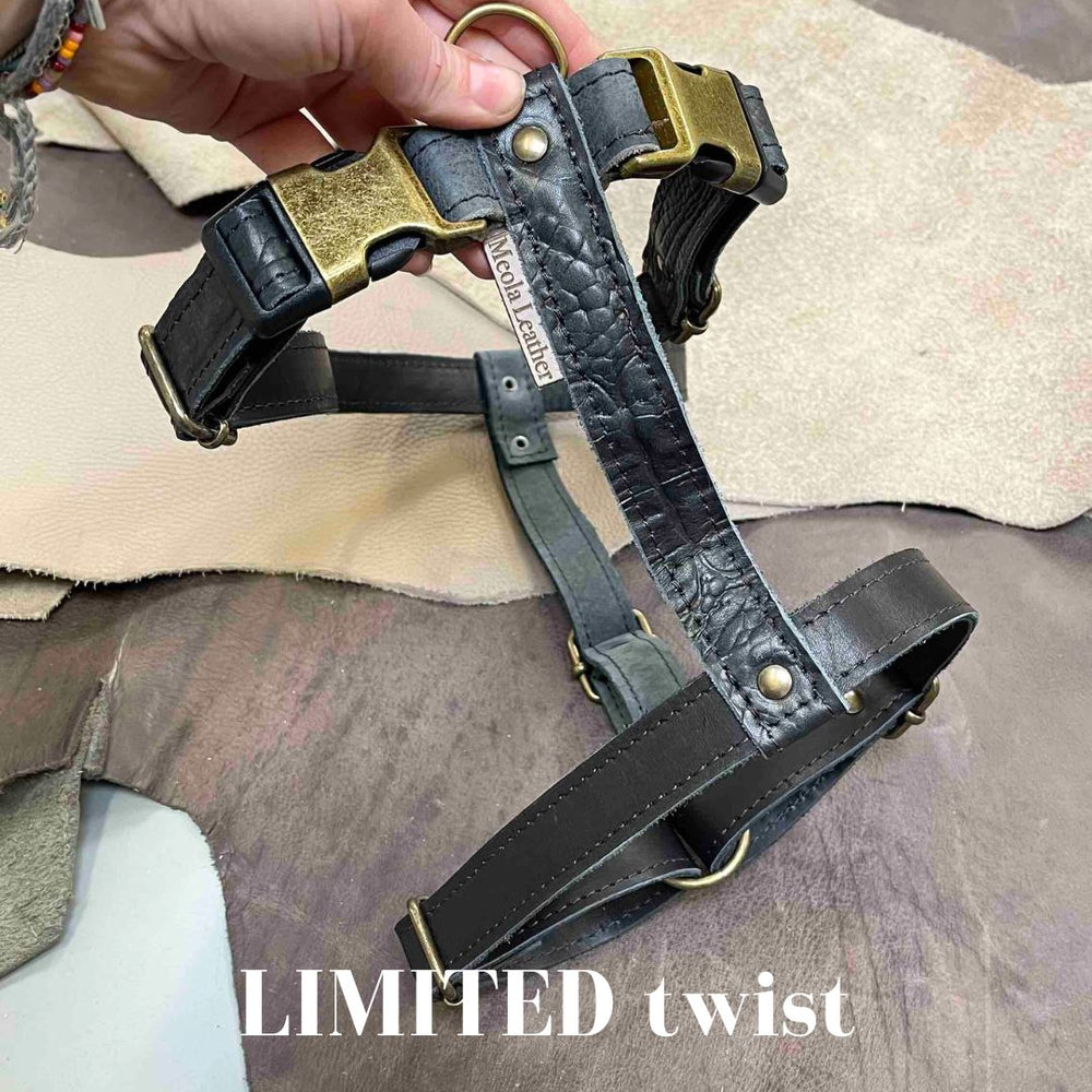 
                      
                        Limited collectie kleuren XL tuigjes
                      
                    