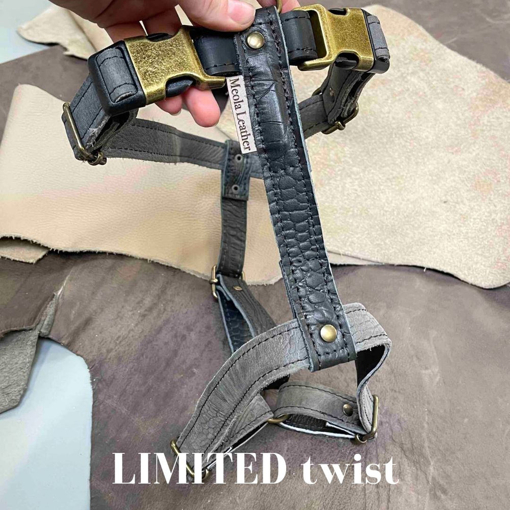 Limited collectie kleuren XL tuigjes