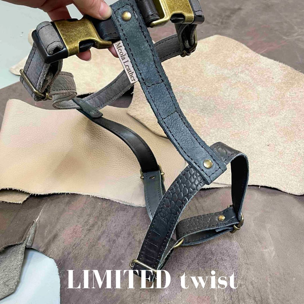 
                      
                        Limited collectie kleuren XL tuigjes
                      
                    