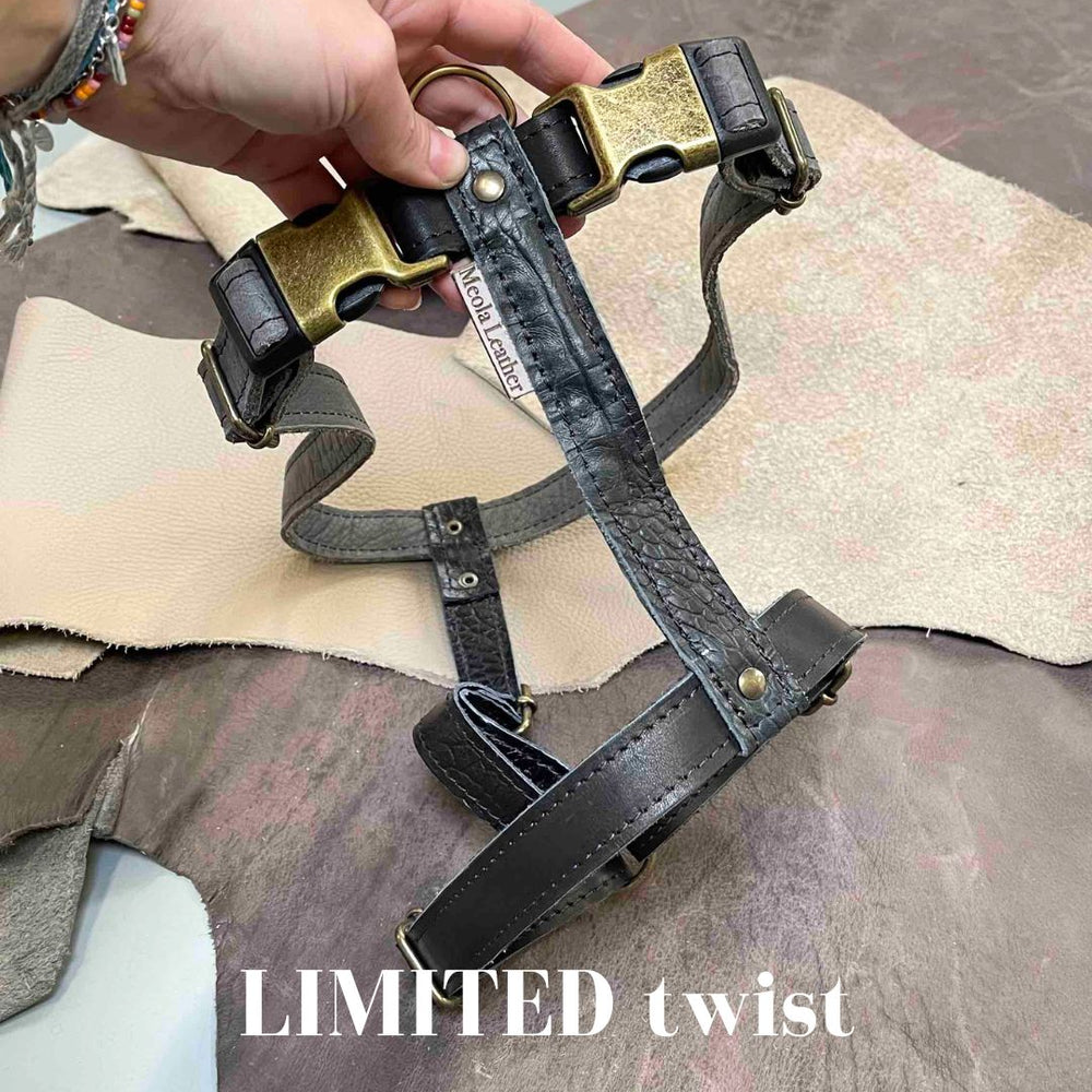 
                      
                        Limited collectie kleuren XL tuigjes
                      
                    