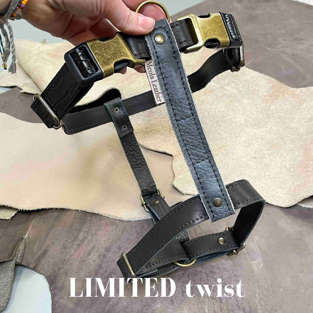 
                      
                        Limited collectie kleuren XL tuigjes
                      
                    