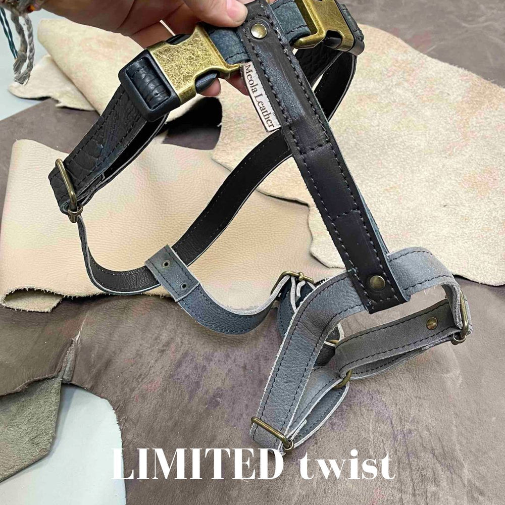 
                      
                        Limited collectie kleuren XL tuigjes
                      
                    