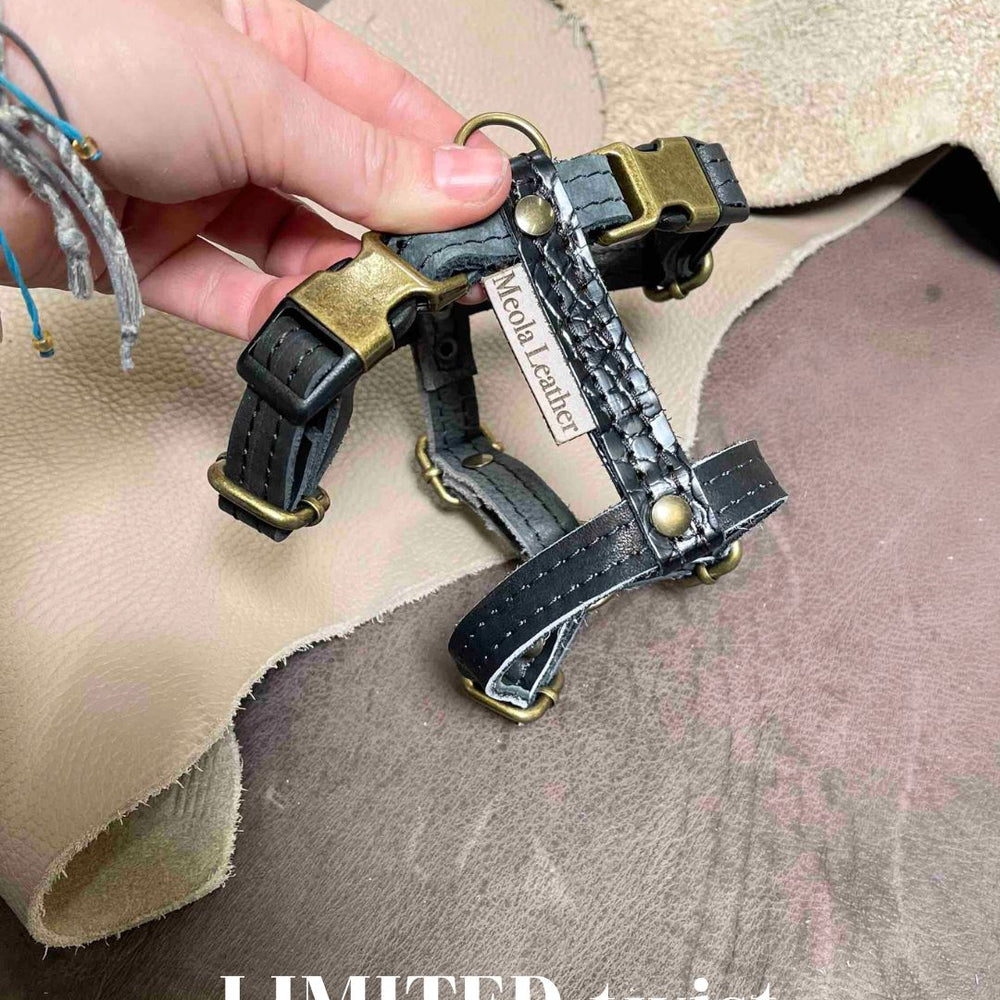 
                      
                        Limited collectie kleuren S tuigjes
                      
                    