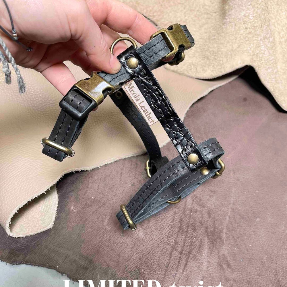 
                      
                        Limited collectie kleuren M tuigjes
                      
                    