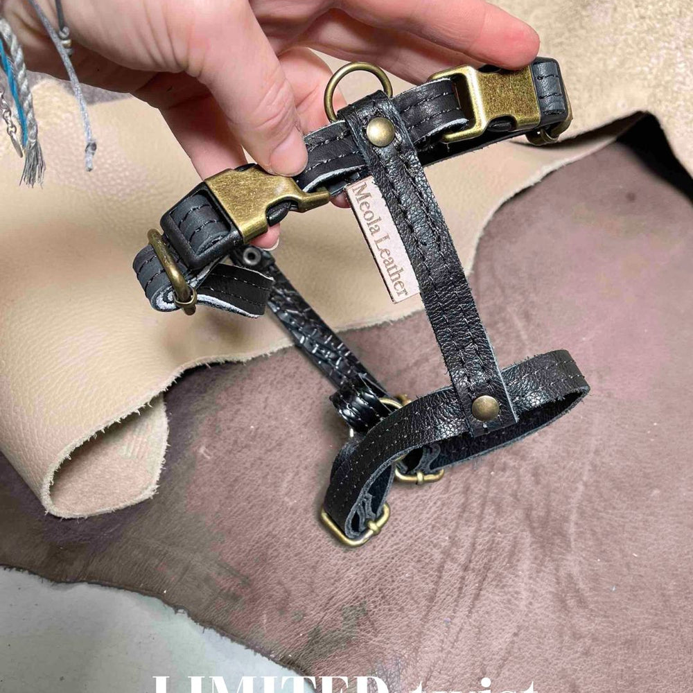 
                      
                        Limited collectie kleuren M tuigjes
                      
                    