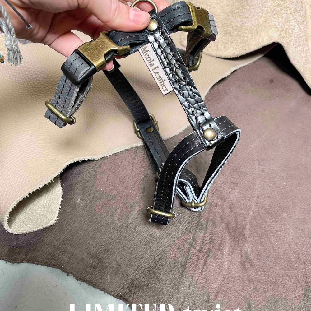 
                      
                        Limited collectie kleuren M tuigjes
                      
                    