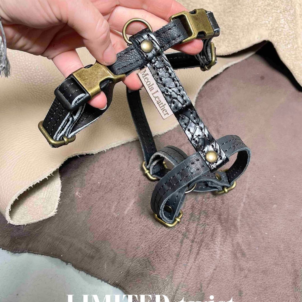 
                      
                        Limited collectie kleuren M tuigjes
                      
                    