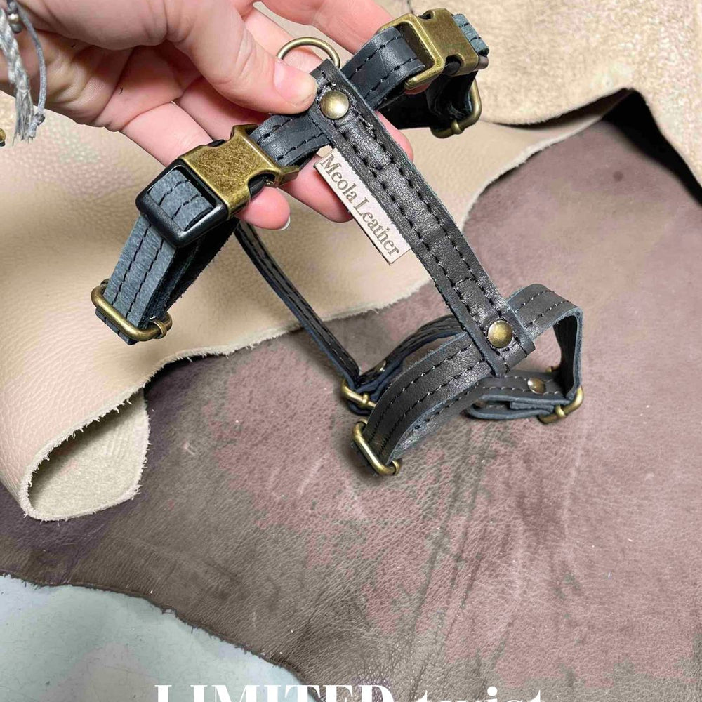 
                      
                        Limited collectie kleuren M tuigjes
                      
                    